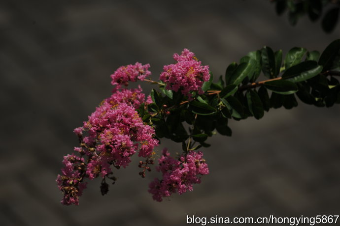三明建宁：曾经软禁过二战谍报奇才的闽北小城
