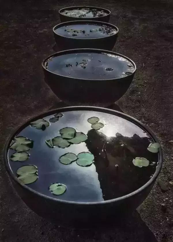 关于长情和深情的古诗词,最深的感情的古诗句