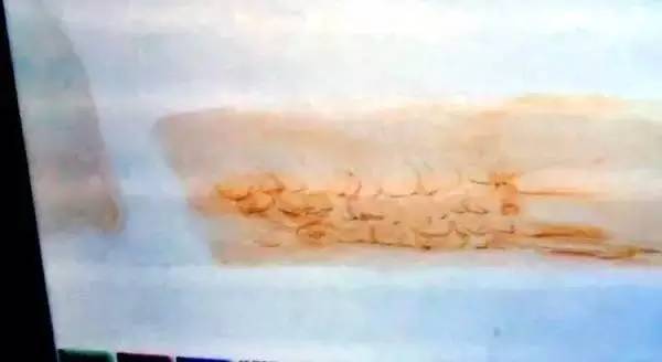 关注︱仅为含饴弄孙，为何这对中国老夫妇被新西兰禁止入境？罪魁祸首竟然指向它！