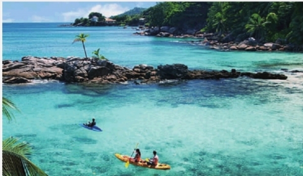 广州自由客,自由客升高4寸