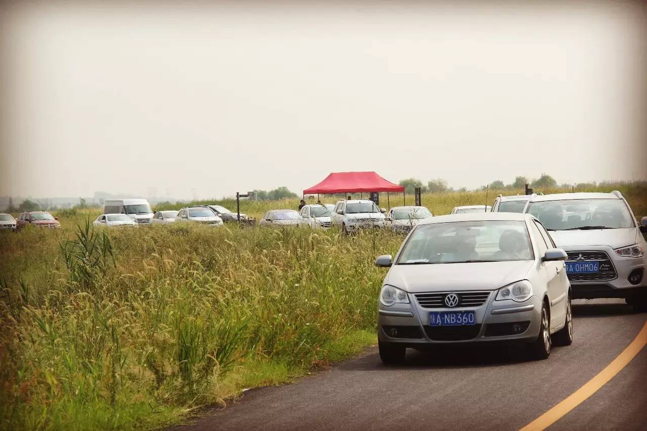 灞渭车游湿地公园价格,西安灞渭车桥湿地免费不