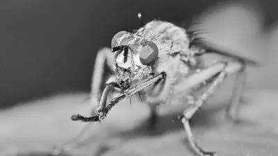 农资田间地头,农资预防地下害虫