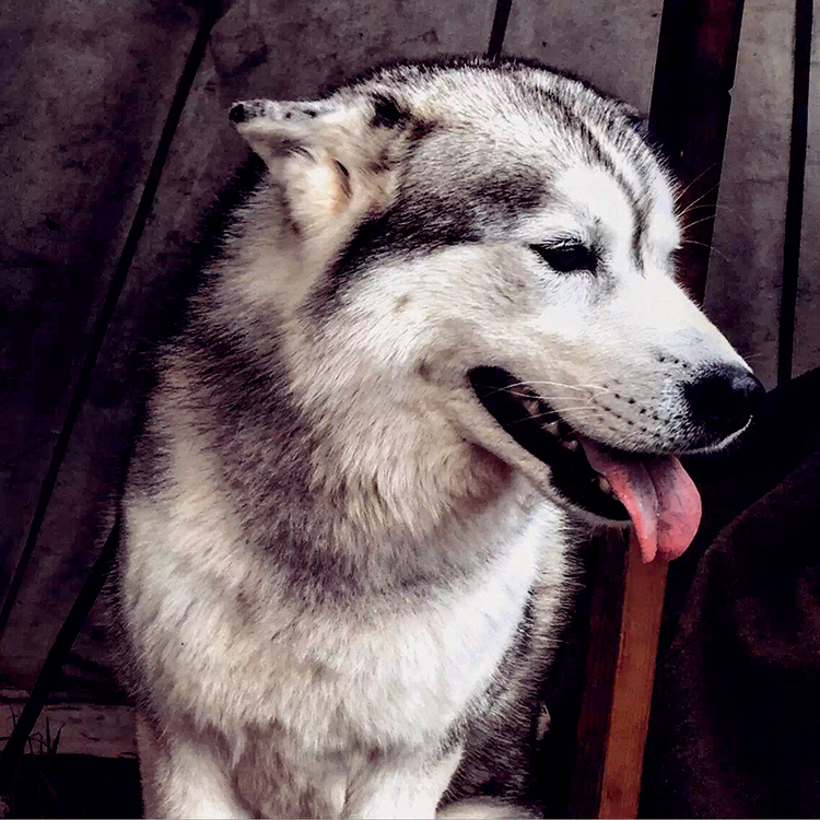 手机旅行vlog摄影教学视频,手机摄影旅行vlog海边