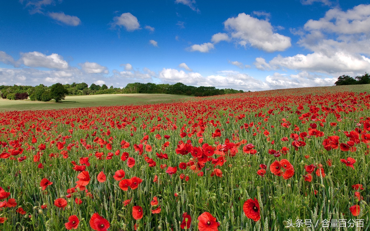 真不是钱包，神画小媚AR投影电视到底如何呢