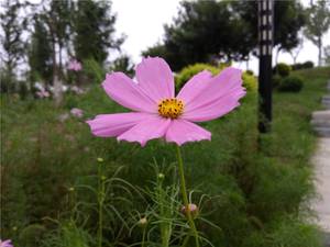 是否能够畅快用两天?360手机N4S全面评测!