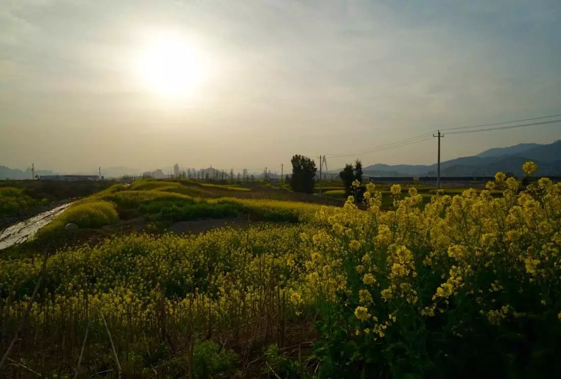 如果微博被盗，你会采取什么措施？