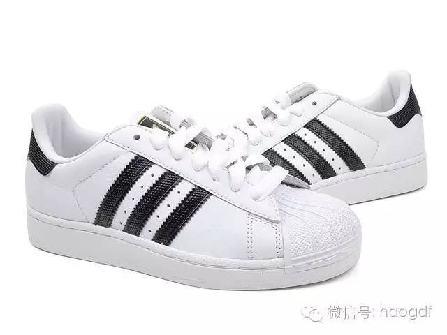 美国克里斯特.福尔摩斯博士：让你的脚保持健康轻松