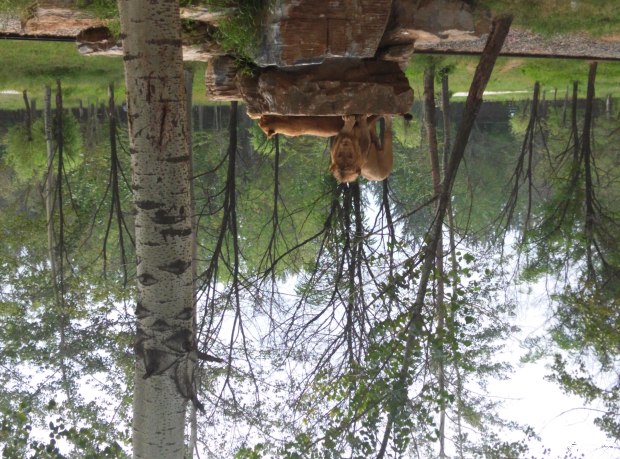 跑了13万公里的比亚迪e6值得买吗,比亚迪电车第一批车主用车情况