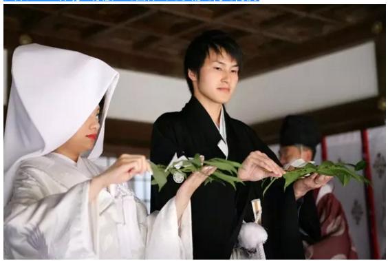 三三九度的饮酒顺序,三三九度是什么