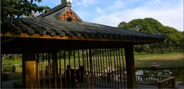 上海十大有意思的小众地方,上海五大超冷门景点却值得一去