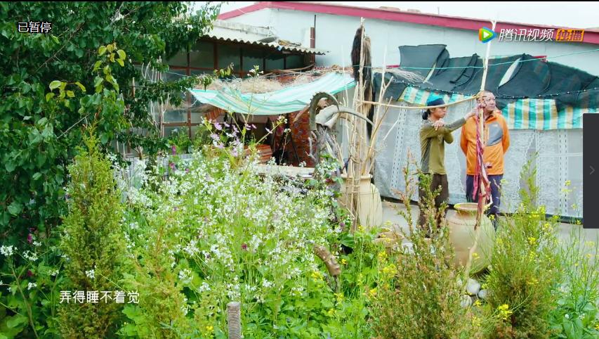 奇域探秘新丝路纪录片哪里可看,奇域探秘新丝路