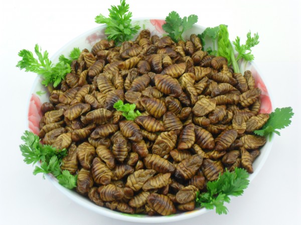 某宝上买的丑东西,某宝买的东西被卖家骂