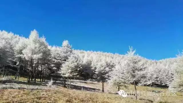 灵石县红崖峡谷攻略,灵石红崖峡谷口