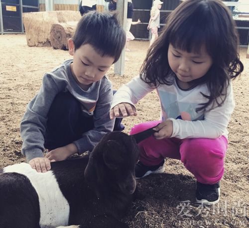 关于王宝强亲子鉴定,王宝强做亲子鉴定后怎样对待孩子