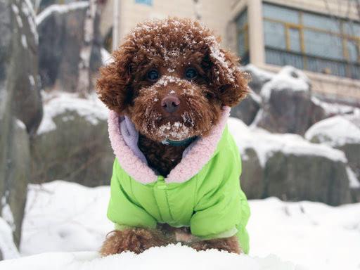 理财有道轻任务怎么做,理财有道投资方案