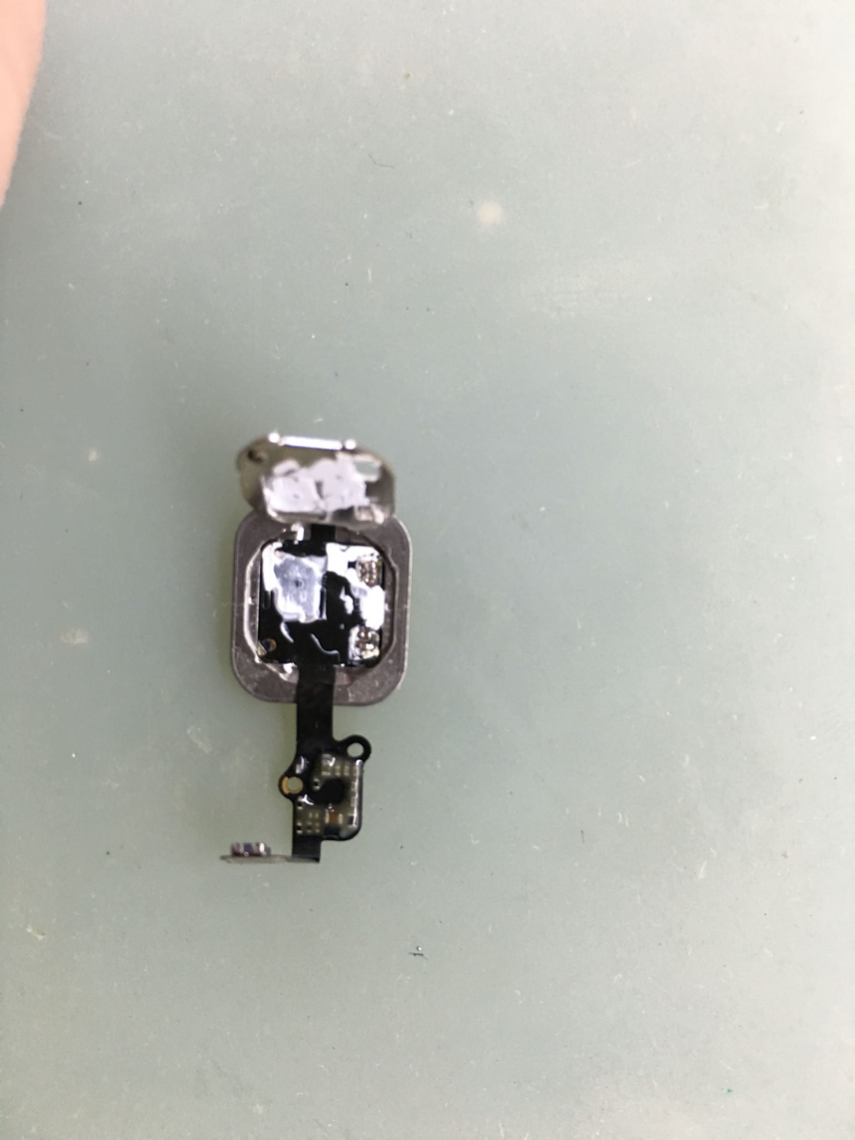 iphone6国行无指纹,iphone6漏电无指纹