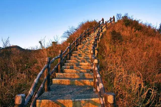 大明山海拔多少米,大明山海拔高