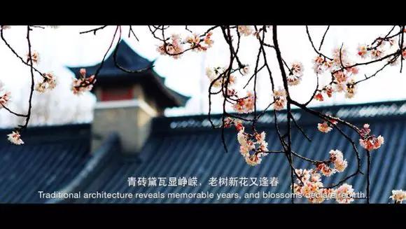 京大学院,京大中文系