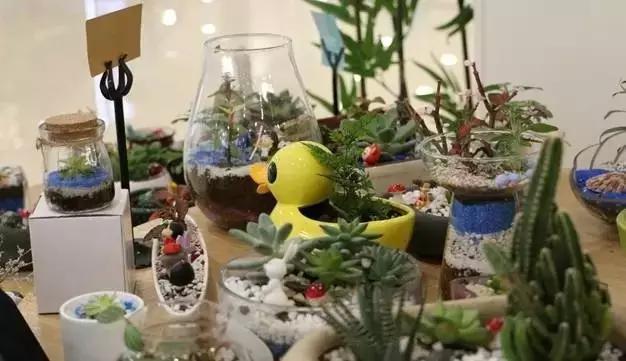 武汉一夜之间白了头,这回终于有得玩了!