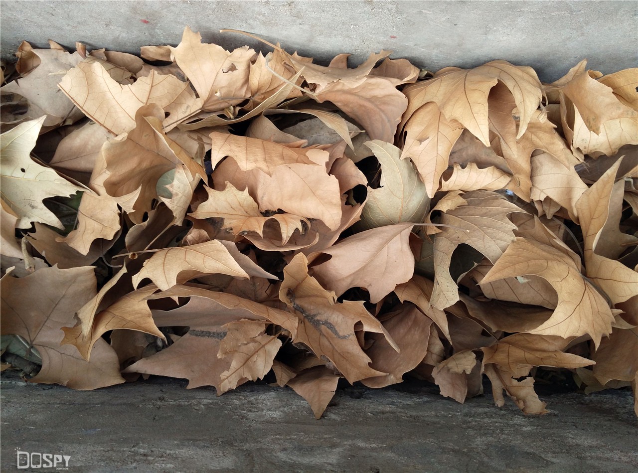 360手机极客版,手机360极客版