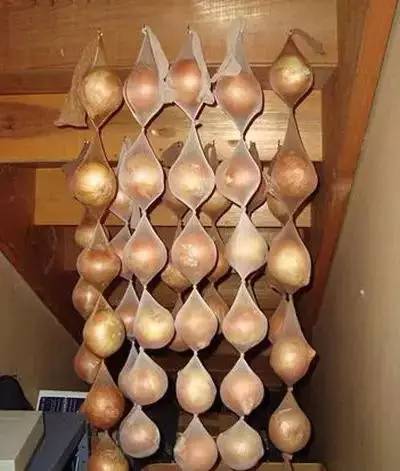 上海今夏高温已达42天,上海本周再现35℃高温天