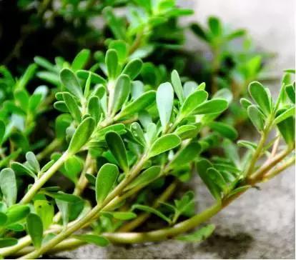 秋天长痱子怎么快速消除,秋痱子怎么治比较快消失