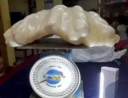 全世界最大最好看的珍珠,世界上最美的彩色宝石珍珠