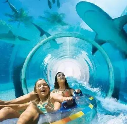 世界十大最刺激旅行,世界十大必试旅行体验