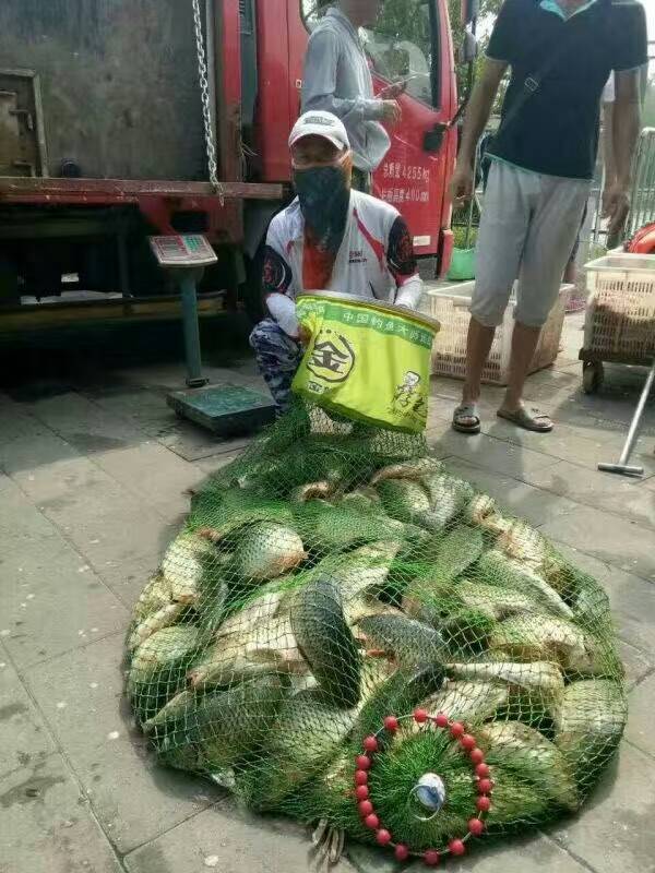 黑坑必须要用小黄面吗,黑坑为什么要用小黄面