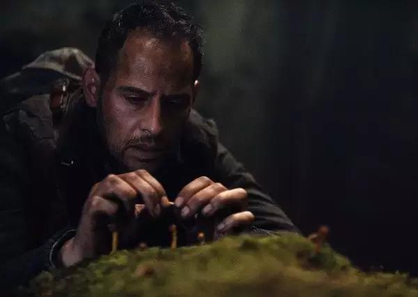 我丝毫不怀疑，这位导演曾来过云南尝过“毒蘑菇”