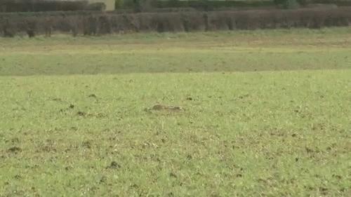 笑口常开：专业坑队友啊！下面那位这你也能忍？