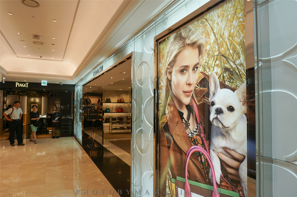 新罗大咖｜你们疯狂扫货！我只想在天空花园喝喝