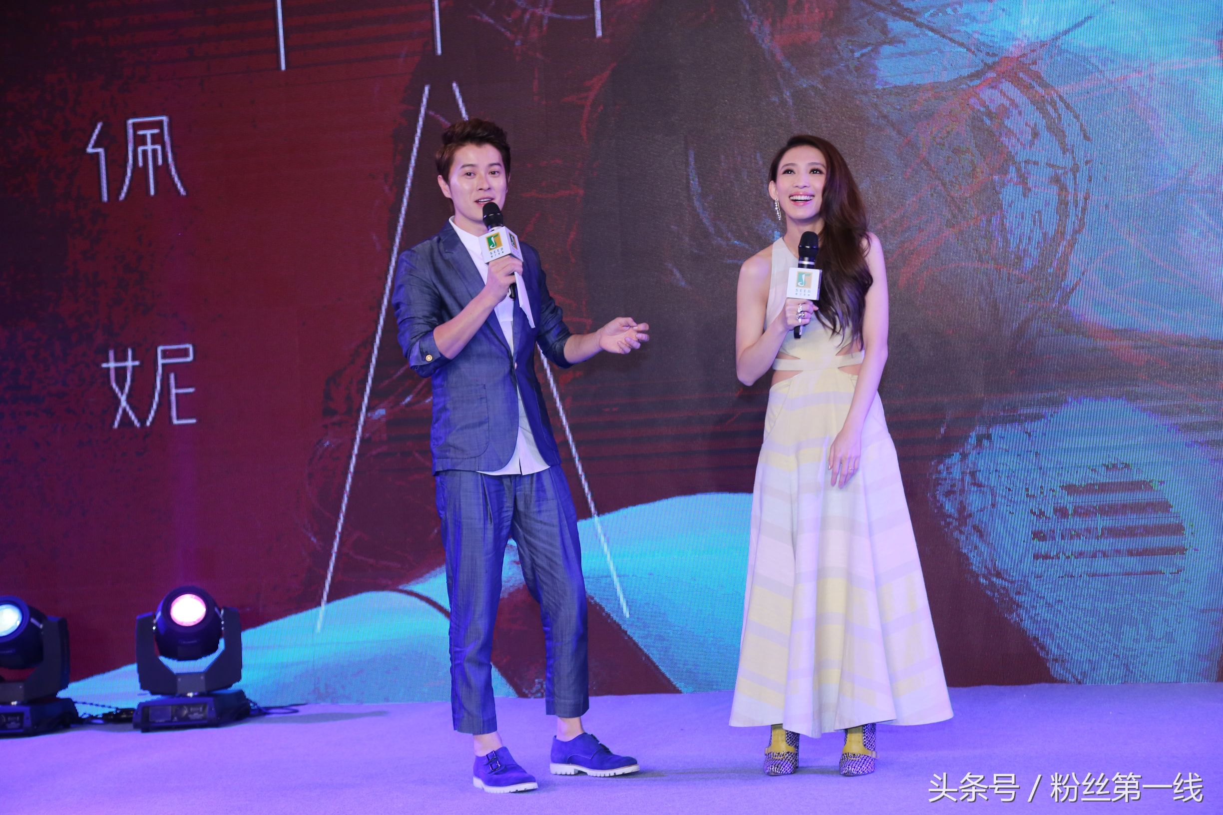 戴佩妮侵权风波解说,戴佩妮失恋无罪