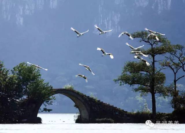 广东肇庆风水大势分析,肇庆风水大揭秘