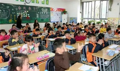 合肥最牛的十所小学,合肥市莲花小学排名第几