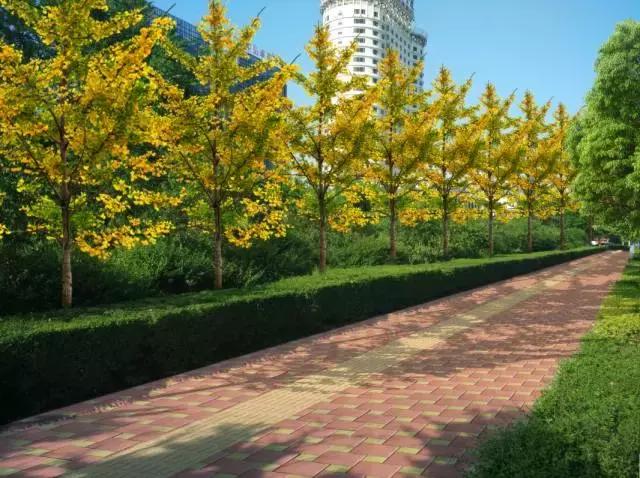 洛阳体育公园最新规划,洛阳文博体育公园改造提升