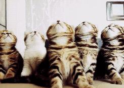 史诗级灾难片之开学,史诗级开学灾难片混剪