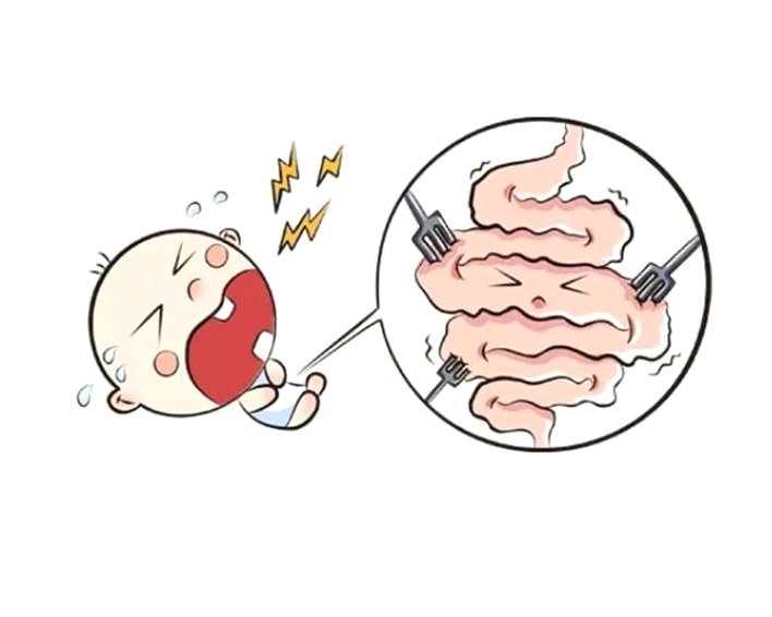 肠痉挛发作身旁没有药物怎么办,肠痉挛直不起来腰怎么办