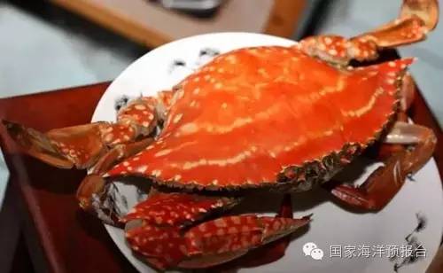 “秋风起，蟹飘香”~河蟹海蟹傻傻分不清？