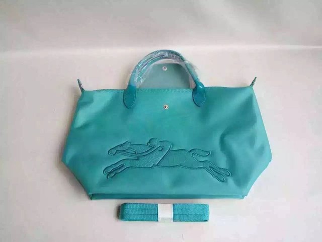 longchamp珑骧饺子包,longchamp饺子包爆款