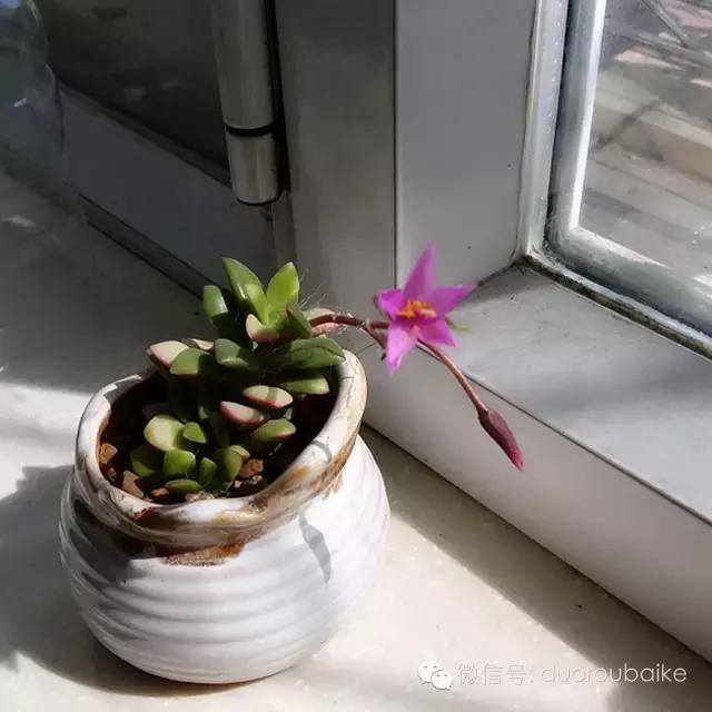 入坑就不能自拔,入坑后无法自拔