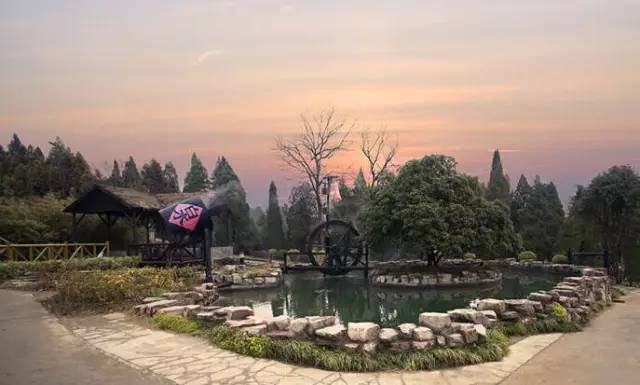 零下80度上海,上海零下9.8度