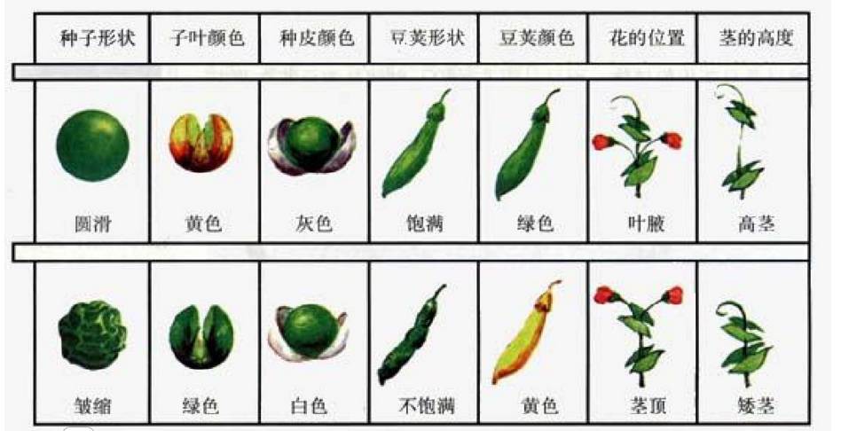 王宝强带孩子做亲子鉴定结果如何,马蓉和王宝强孩子做过亲子鉴定吗