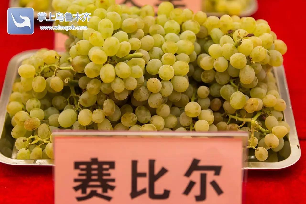 自带花香味的葡萄你吃过吗,吃葡萄不吐葡萄皮的葡萄怎么挑