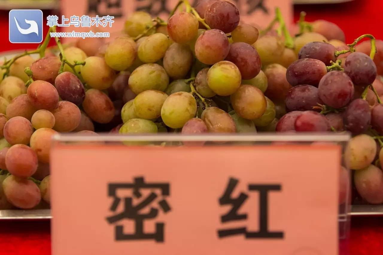 自带花香味的葡萄你吃过吗,吃葡萄不吐葡萄皮的葡萄怎么挑