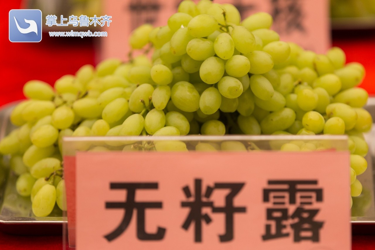 自带花香味的葡萄你吃过吗,吃葡萄不吐葡萄皮的葡萄怎么挑