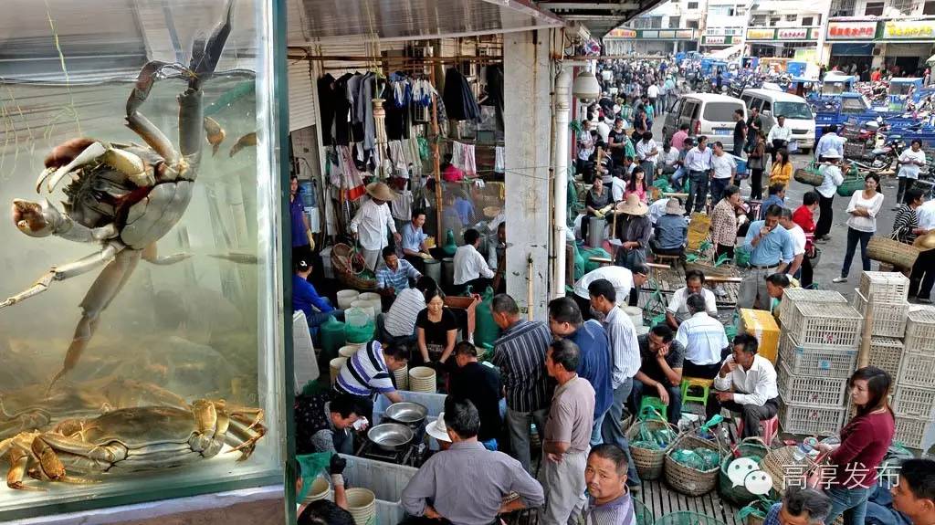 10月1日高淳螃蟹价格,高淳螃蟹价格最新行情11月11日