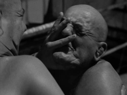 2021年7部超燃劲爆动作电影,21年奥运会超燃