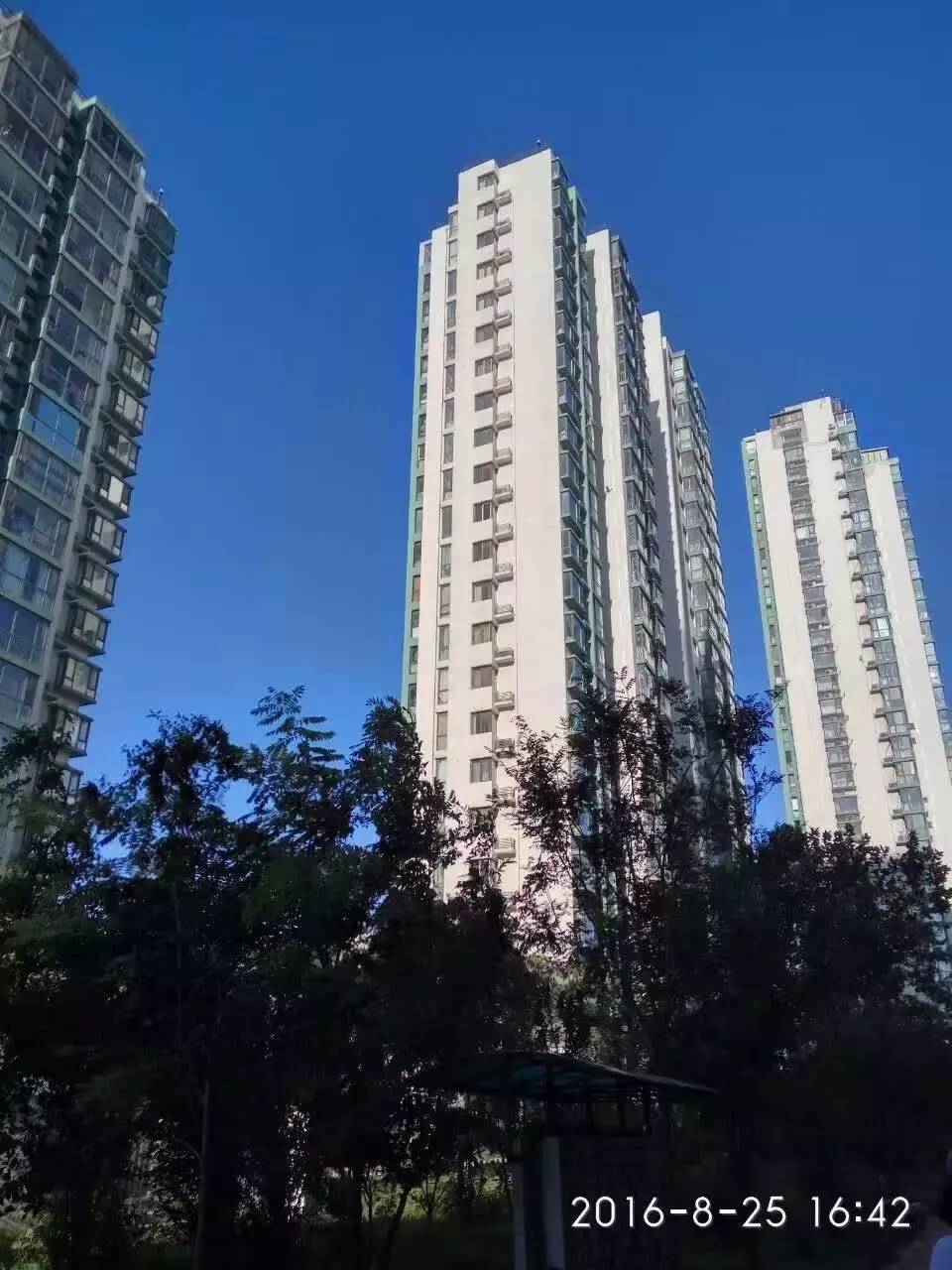 天津蓝眼泪视频,天津蓝眼泪最新视频