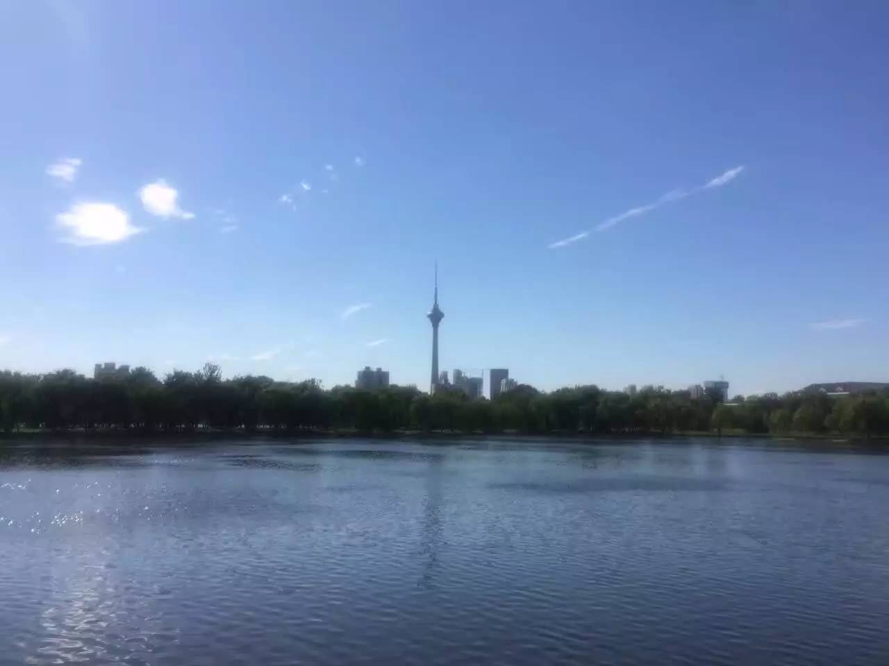 天津蓝眼泪视频,天津蓝眼泪最新视频